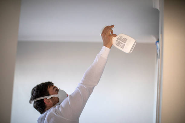 Best Mold Removal Company Near Me  in San Saba, TX