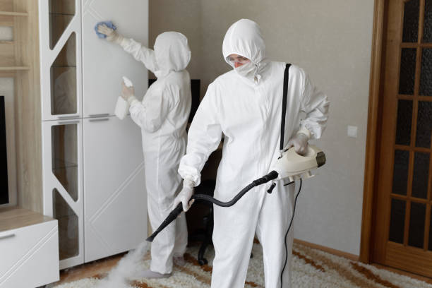 Best Attic Mold Removal  in San Saba, TX